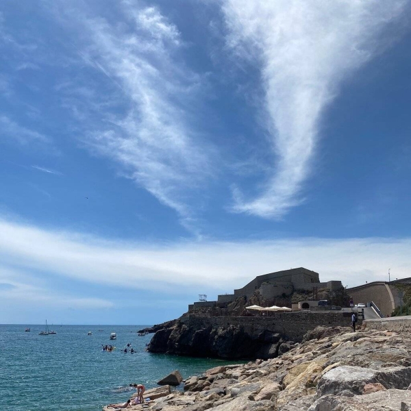 Le Restaurant - L'Ecailler de Saint-Pierre - Restaurant fruit de mer Sete - bien manger SETE